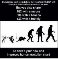25 Best Geotecsolar Memes Evolution Chart Memes Neutral