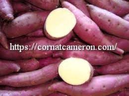 anese sweet potato nutrition sweet