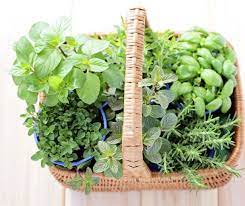 What Is A Portable Herb Garden From