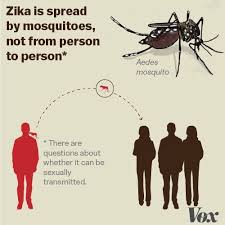 Zika Virus Explained In 6 Charts And Maps Vox