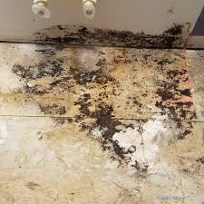how to remove a damaged or moldy suloor