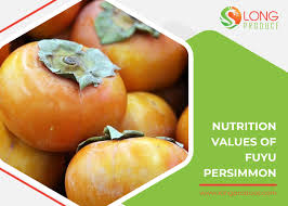 fuyu persimmon and some aspects that