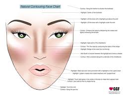 the art of contouring