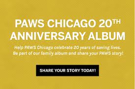 Pets Available Paws Chicago