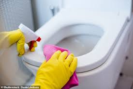 use bleach to clean your toilet