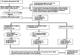 Summary Flow Chart Of Patient Categorization And