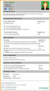 esl curriculum vitae editing sites Professional resume writers for educators  Custom analytical essay Executive Resumes CV