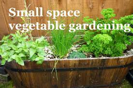 small space vegetable gardening a