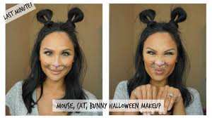 cat or rabbit halloween makeup