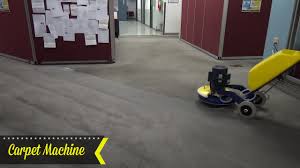 cimex commercial carpet cleaning