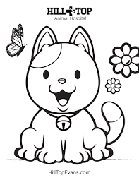 How to draw a beagle puppy, beagle puppy. Kids Coloring Pages Hill Top Animal Hospital