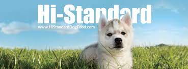 A raw dog food recipe that is healthy and nutritious. Hi Standard Dog Food Home Facebook
