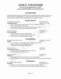 10 Examples Of Resumes For College Students Proposal Sample