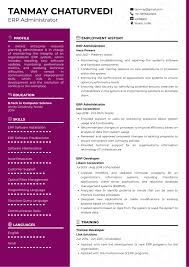 sle resume of erp administrator with