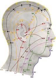 Acupuncture Points Of The Head All The Meridian Points Are