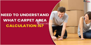 what does carpet area mean