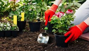 Gardening Soil Diffe Types Of Soil