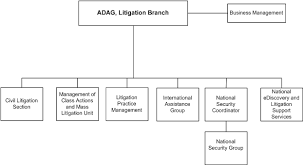Litigation Branch Evaluation Final Report Profile Of The