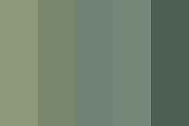 Sage Green Color Palette