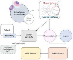 Optical Designs On The Binocular Vision