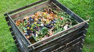 Best Compost To Buy For Vegetable