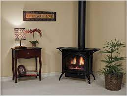 Direct Vent Gas Stove