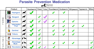 2019 Parasite Medications Chart Western Animal Clinic