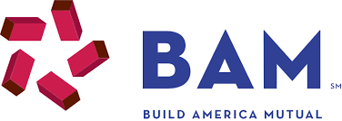 The website with the homepage bam insurance associates inc. provides content on the pages internet. Home Build America Mutual