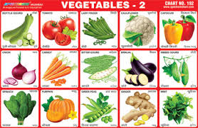 Vegetables Stickers Charts Buy Vegetable Learning Chart For Kids Kids Educational Learning Charts Root Vegetables Leafy Vegetables Chart Product On
