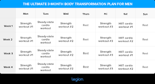 body transformation plan
