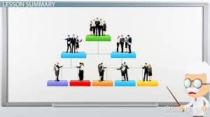 Organizational Structure Definition Types Examples