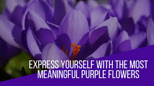 meaningful purple flowers