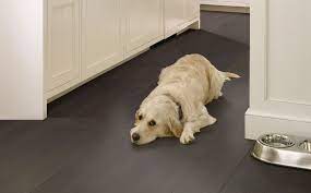 what s the best dog friendly flooring