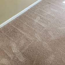 carpet cleaning near manas park va