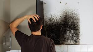 Ev ve iş yerlerimizde oluşan duvarlardaki rutubet küf kararmaları korkutucu siyah lekeler nasıl çıkartılır en basit yöntemler nelerdir. Evlerin Tavan Ve Duvar Bolgelerinde Olusan Kufleri Temizleme Yontemleri Mortilki Com