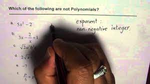 Which Algebraic Expressions are Not Polynomials - YouTube