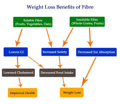 Dietary Fibre Weight Loss