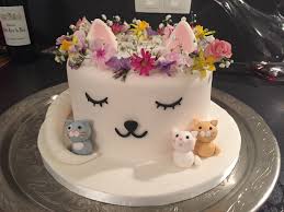The kids were super excited and asked me if we could have a birthday party for mittens. Cat Cake Birthday Cake For Cat Cat Cake Kitten Cake