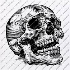 Jaka tingkir bidadari pencabut nyawa full movies подробнее. 59 Skulls Ideas In 2021 Skull Art Skull Skull Reference