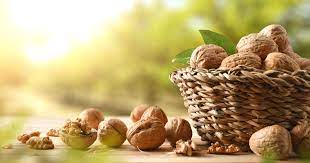 Les noix, des fruits à coque aux nombreux bienfaits qui agrémentent plats  salés et desserts