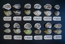 Oyster Of The Month Club In 2019 Oysters Island Creek