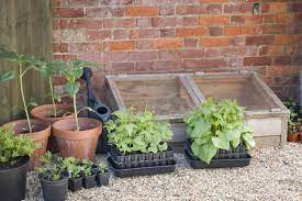 10 sustainable ways to use a cold frame