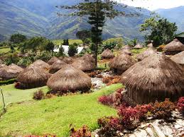 Penjelasan beserta gambarnya dalam artikel ini. 5 Nama Rumah Adat Papua Ada Yang Diatas Pohon