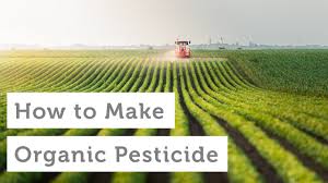 10 homemade organic pesticides