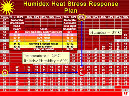 Heat Stress Essentials Training By Occupational Health