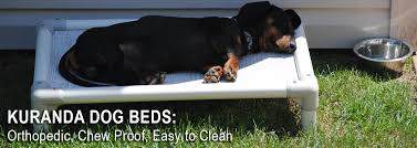 Kuranda Chew Proof Orthopedic Dog Bed