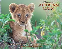 There are 2440 african big cats for sale on etsy, and they cost $16.41 on average. Hd Wallpaper Cats African Cats Big Cat Disney Lion Wallpaper Flare