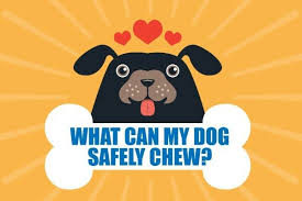 safe chew toys for dogs vet
