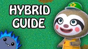 hybrid flowers guide crossing