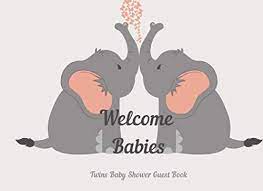 welcome es twins baby shower guest